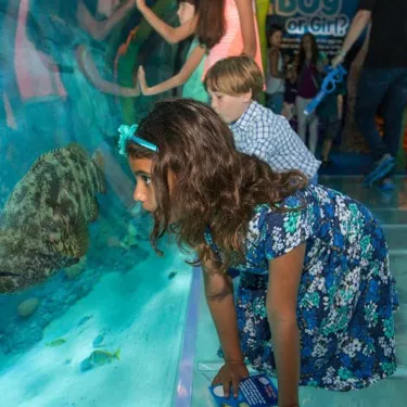 13 Things to Do in Orlando With Toddlers | SEA LIFE Orlando