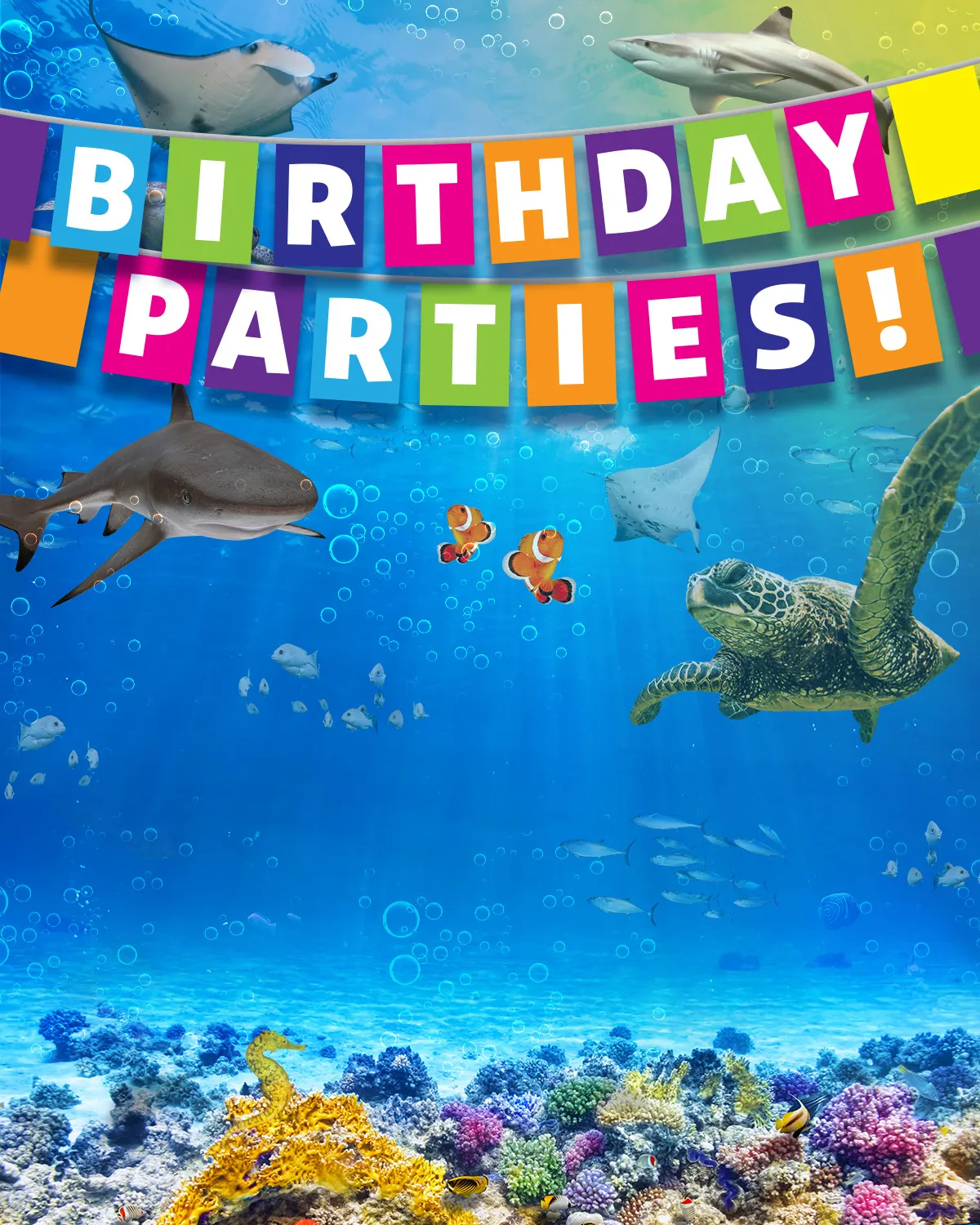 Slmi Birthday Party 730X440 | SEA LIFE Aquarium
