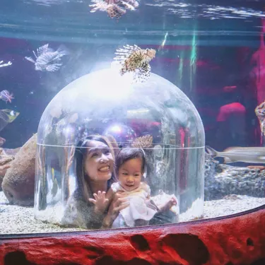 A woman and young child smiling inside a clear observation bubble at SEA LIFE Orlando Aquarium. They are surrounded by water with lionfish swimming overhead, creating an immersive experience. The red aquarium structure and reflections add depth to the underwater setting. Image Provided by IG user: Jessishome