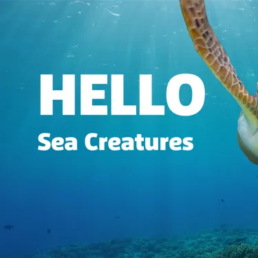 Previsit lesson plan for sea life incredible creatures activity grades 1-5