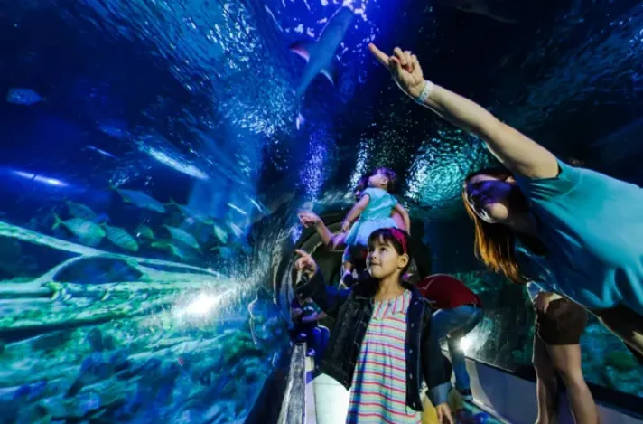 Screenshot 6 7 2026 9233 Www.Visitsealife.Com