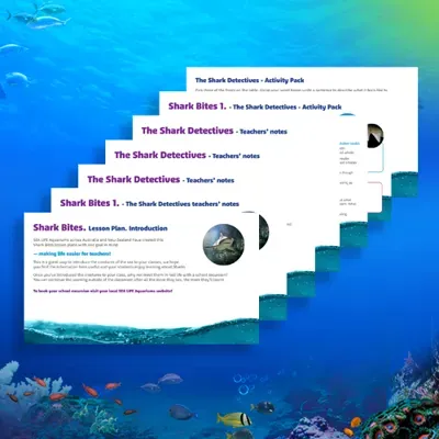 Shark Bites Teacher Resource Pack