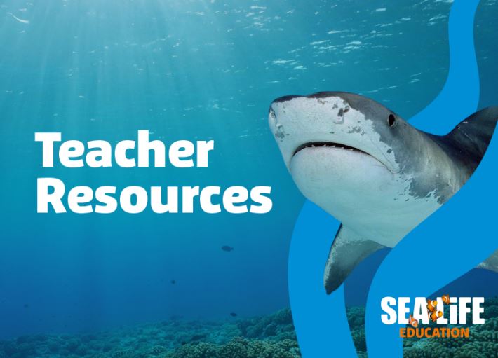 Teacher Resources (1)