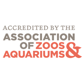 Association Of Zoos Aquariums | SEA LIFE Aquarium