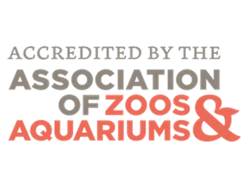 Association Of Zoos Aquariums | SEA LIFE Aquarium