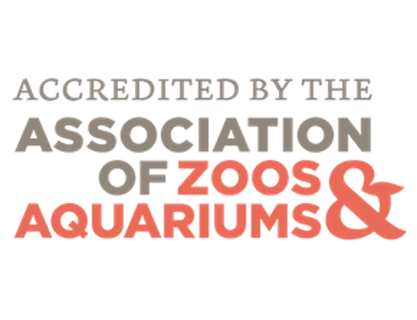 Association Of Zoos Aquariums | SEA LIFE Aquarium