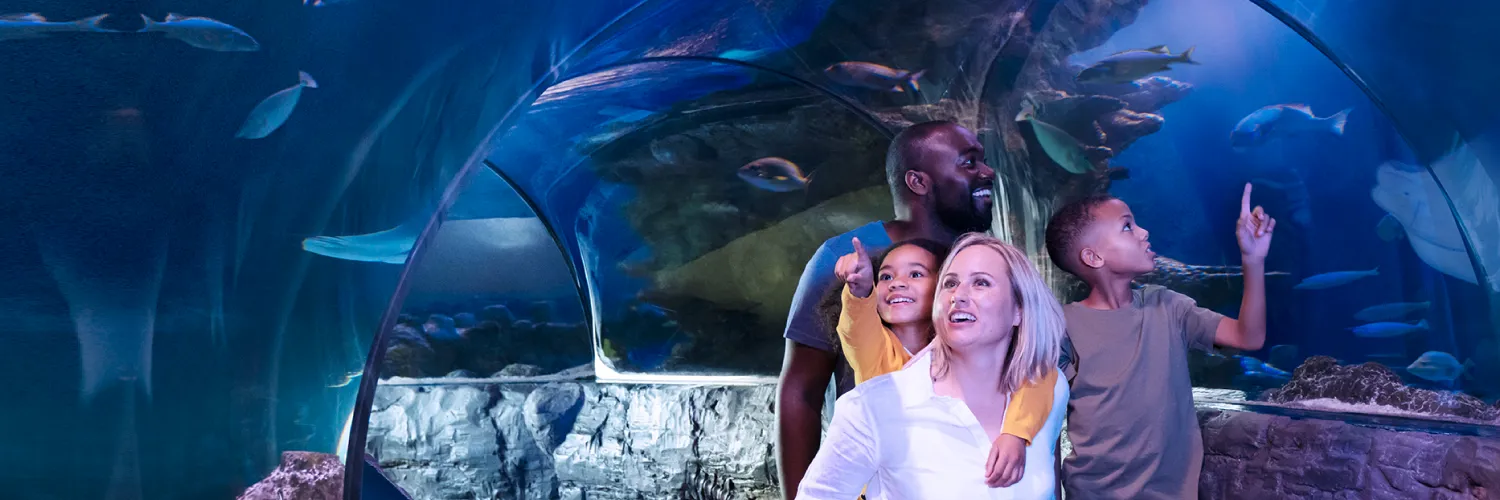 Family Photo Tunnel | SEA LIFE Orlando