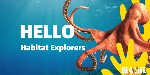 Habitat Explorers Asset