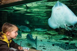 Sealife Groups Girlscout | SEA LIFE Aquarium