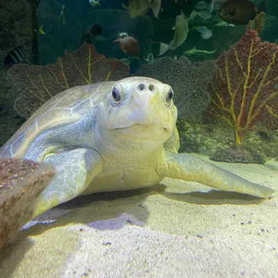 Photo Aug 18 2023, 9 19 47 AM