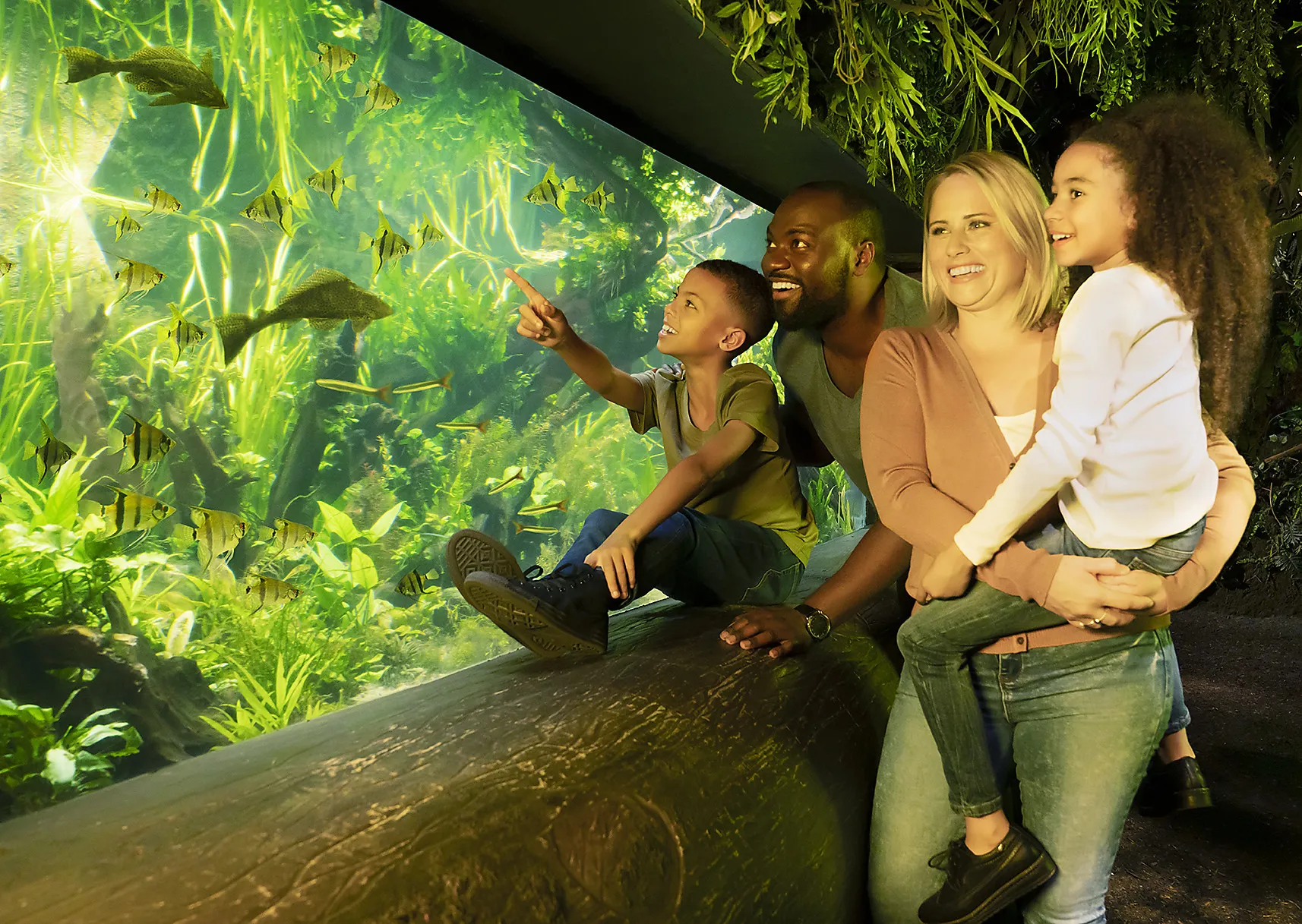 Digital Photo Pass | SEA LIFE Orlando