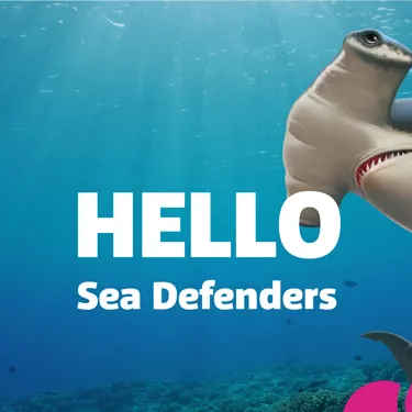 Sea Defenders Asset