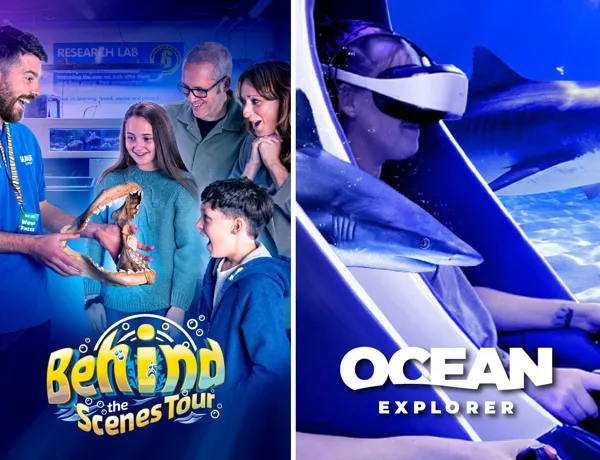 Picture displaying three products at SEA LIFE Orlando Aquarium- Digital Photos, Behind the Scenes Tour and Ocean Explorer VR experience