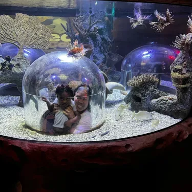 An adult and a young child inside a clear observation bubble at SEA LIFE Orlando Aquarium, surrounded by an underwater display with corals, rocks, and fish. Several lionfish swim around them, and another observation bubble can be seen in the background, enhancing the immersive ocean environment. Image Provided by IG user: Goldensamurai