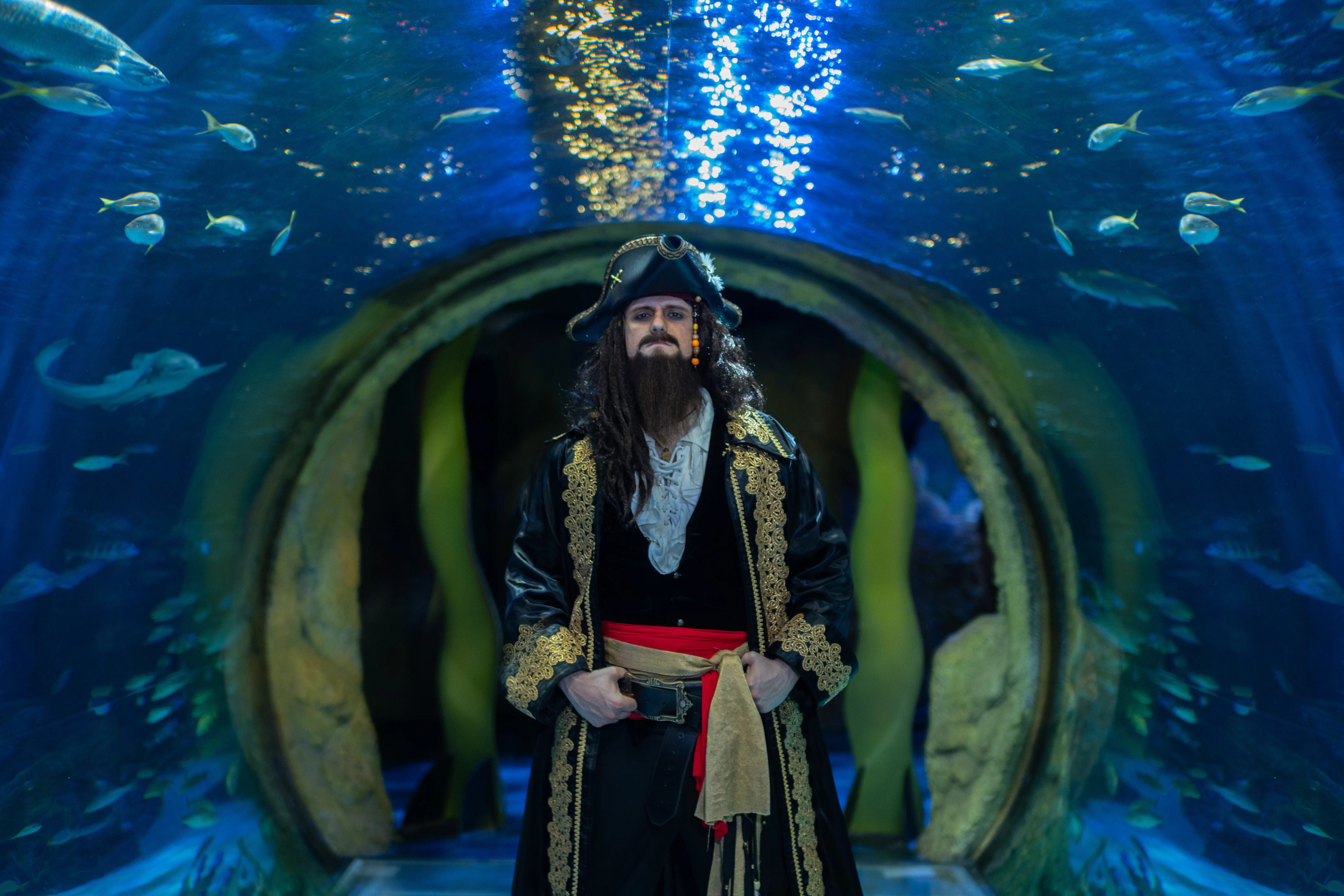 Pirates Of The Haunted Seas Captain Close Up In Tunnel