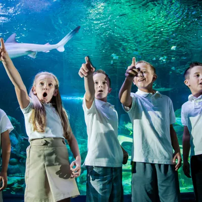 Child Pop Up 3000X1000 | SEA LIFE Aquarium
