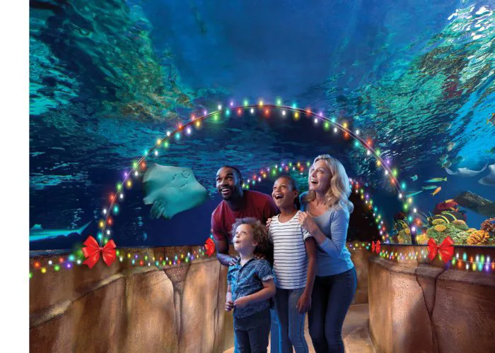 Deck The Seas Family With Lights