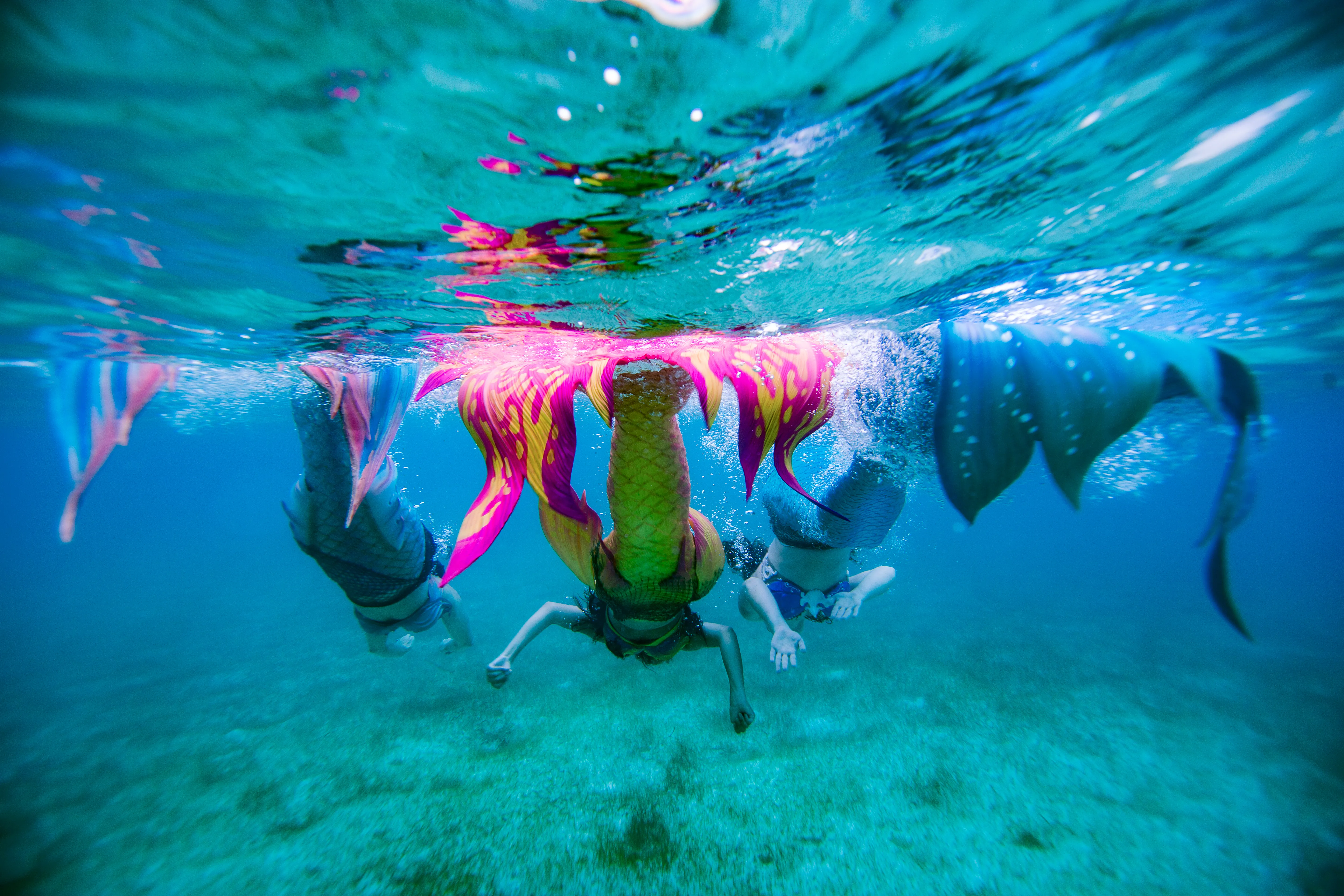 Three mermaids swimming away from the camera