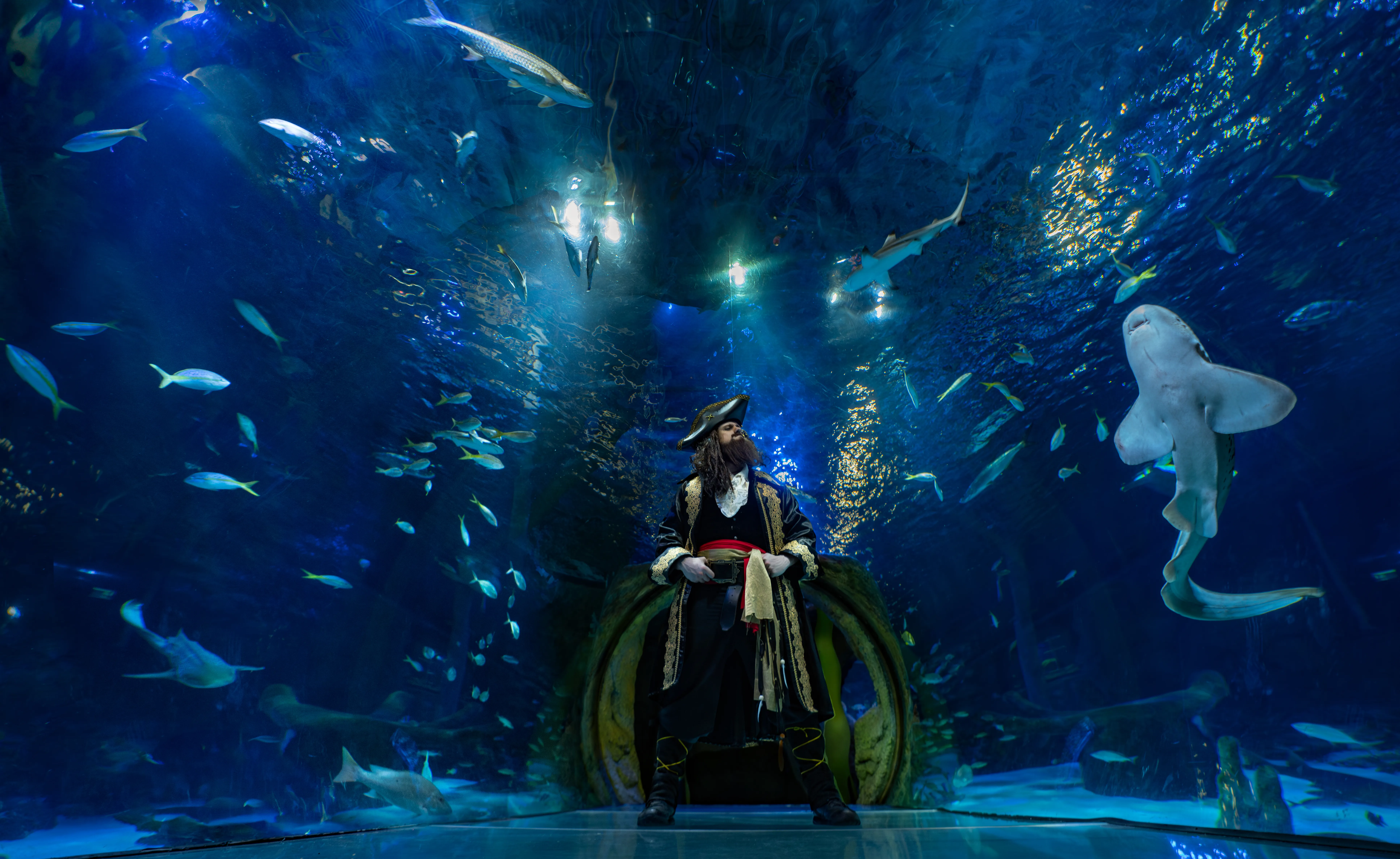 Pirates of the Haunted Seas