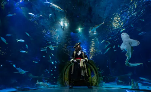 Pirates of the Haunted Seas