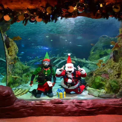 Scuba Claus And Elf 2