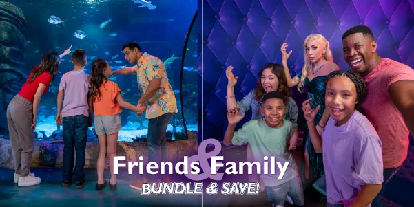 ICON Park Friends And Family Bundle, July 2026 Decoy, 600X300