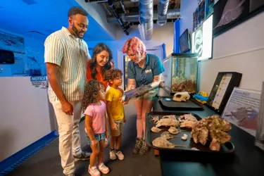 Family experiencing the Behind the Scenes Tour