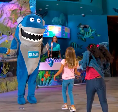 Sharky Mascot
