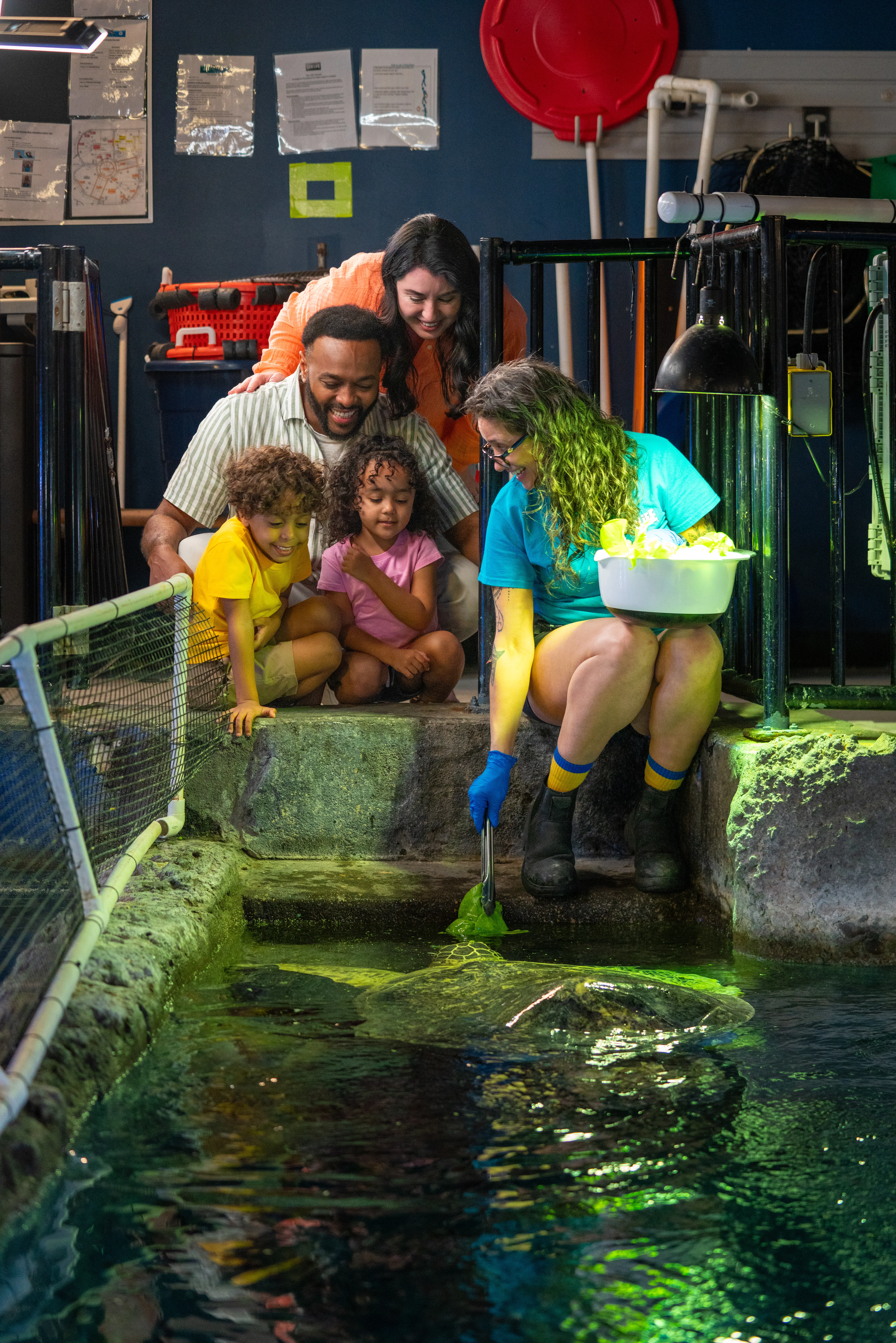 Guests taking part in The Turtle Experience while feeding a turtle