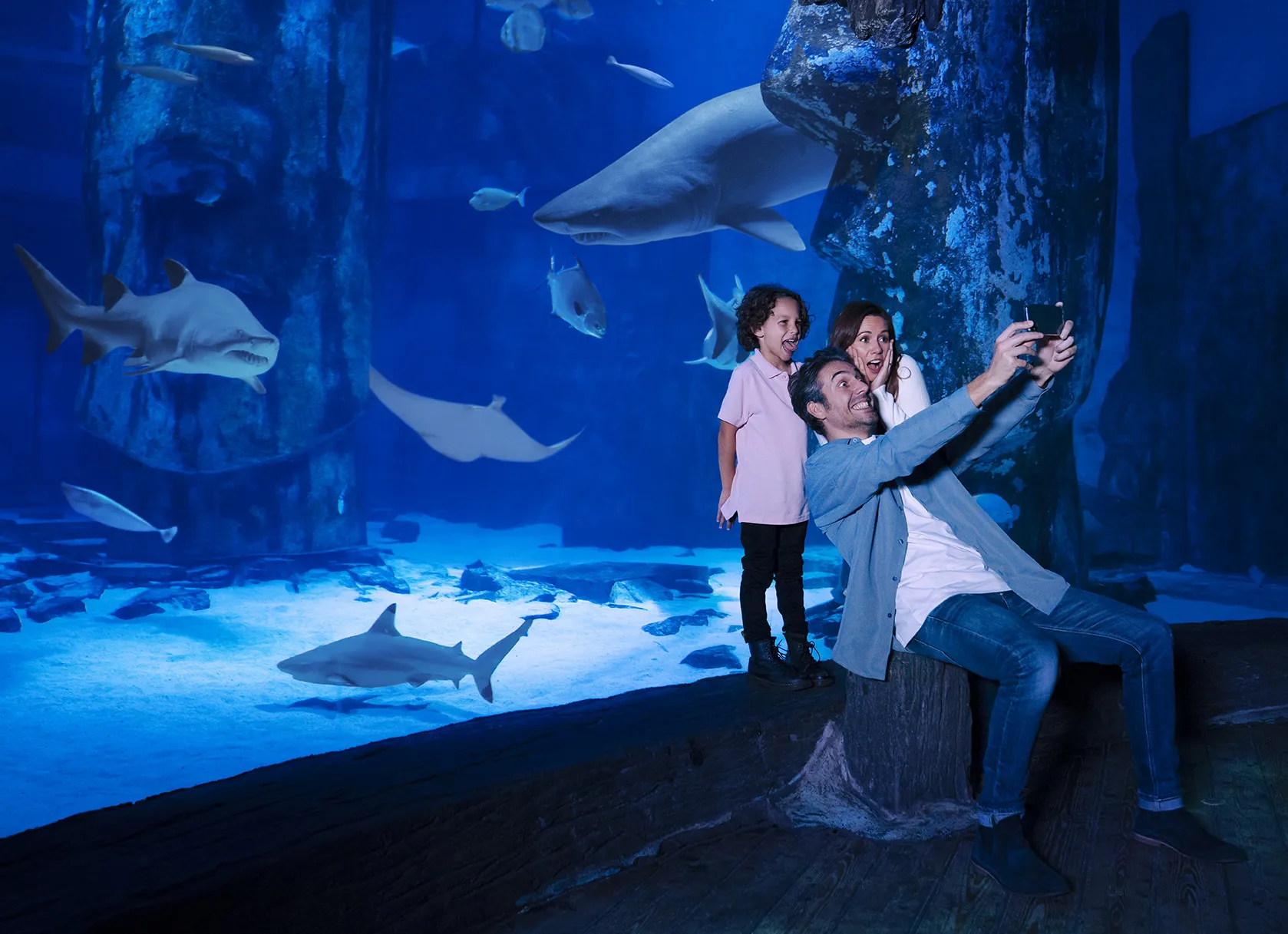 13 Things to Do in Orlando With Toddlers | SEA LIFE Orlando