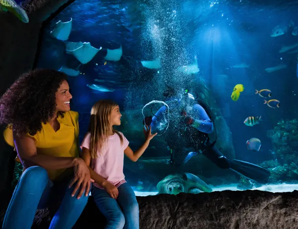 A mother and daughter sitting in front an exhibit interacting with a diver that is in the water