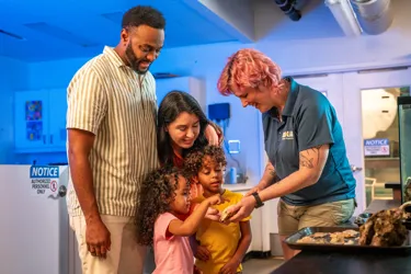 Family experience the Behind the Scenes Tour with the children interacting with an exhibit