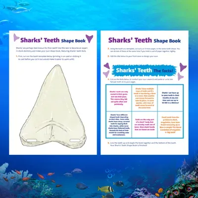 T T Sharkteethshapebook500x500