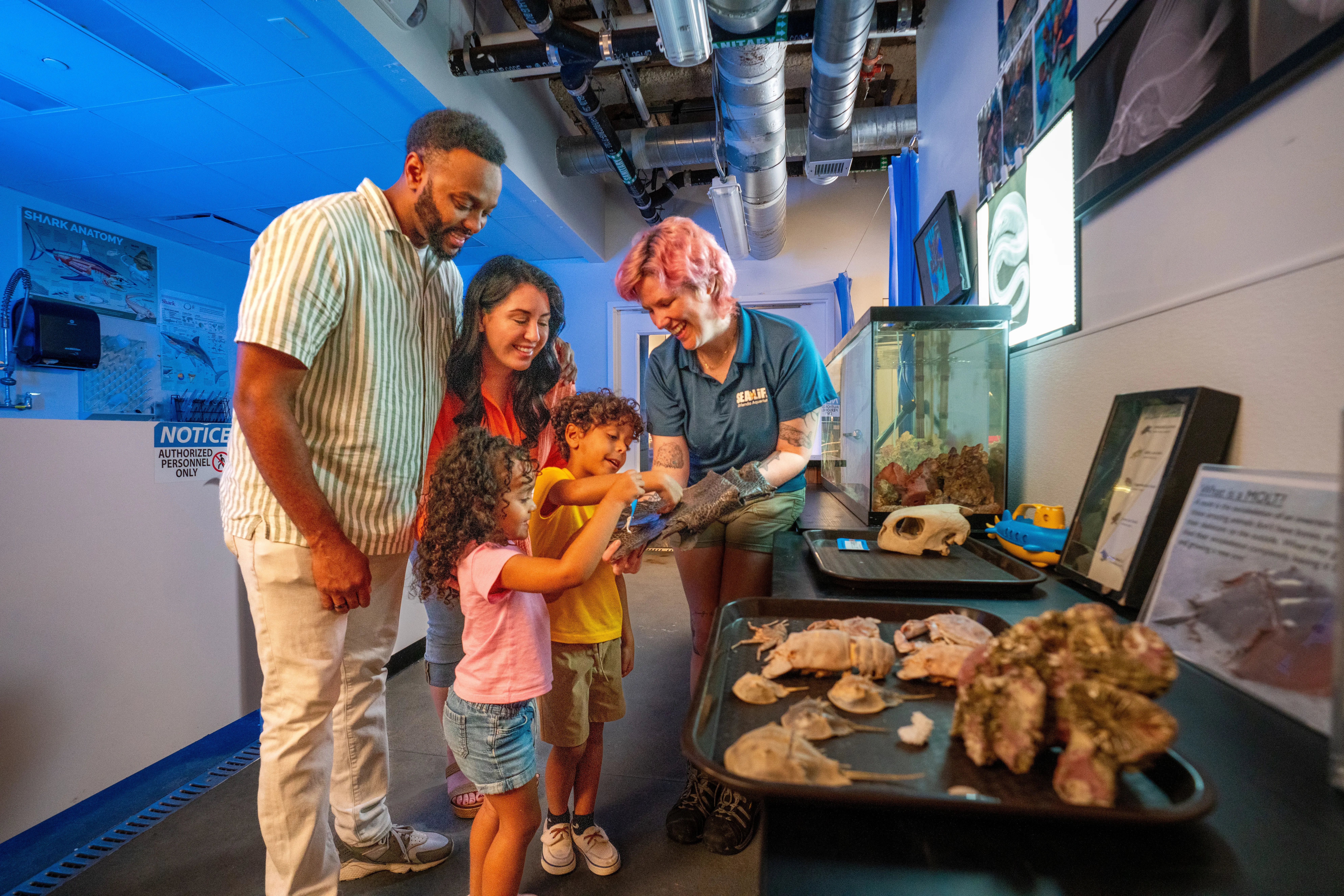 Behind the Scenes tour with a family interacting with an animal as part of the experience