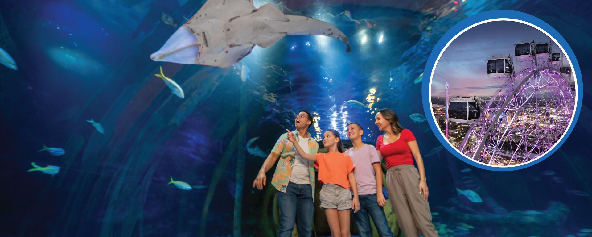 SEA LIFE Orlando Aquarium