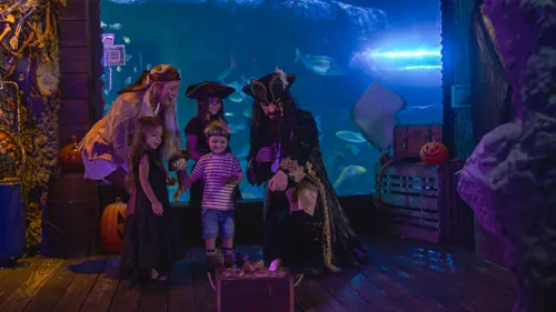 Meet & Greet a Pirate