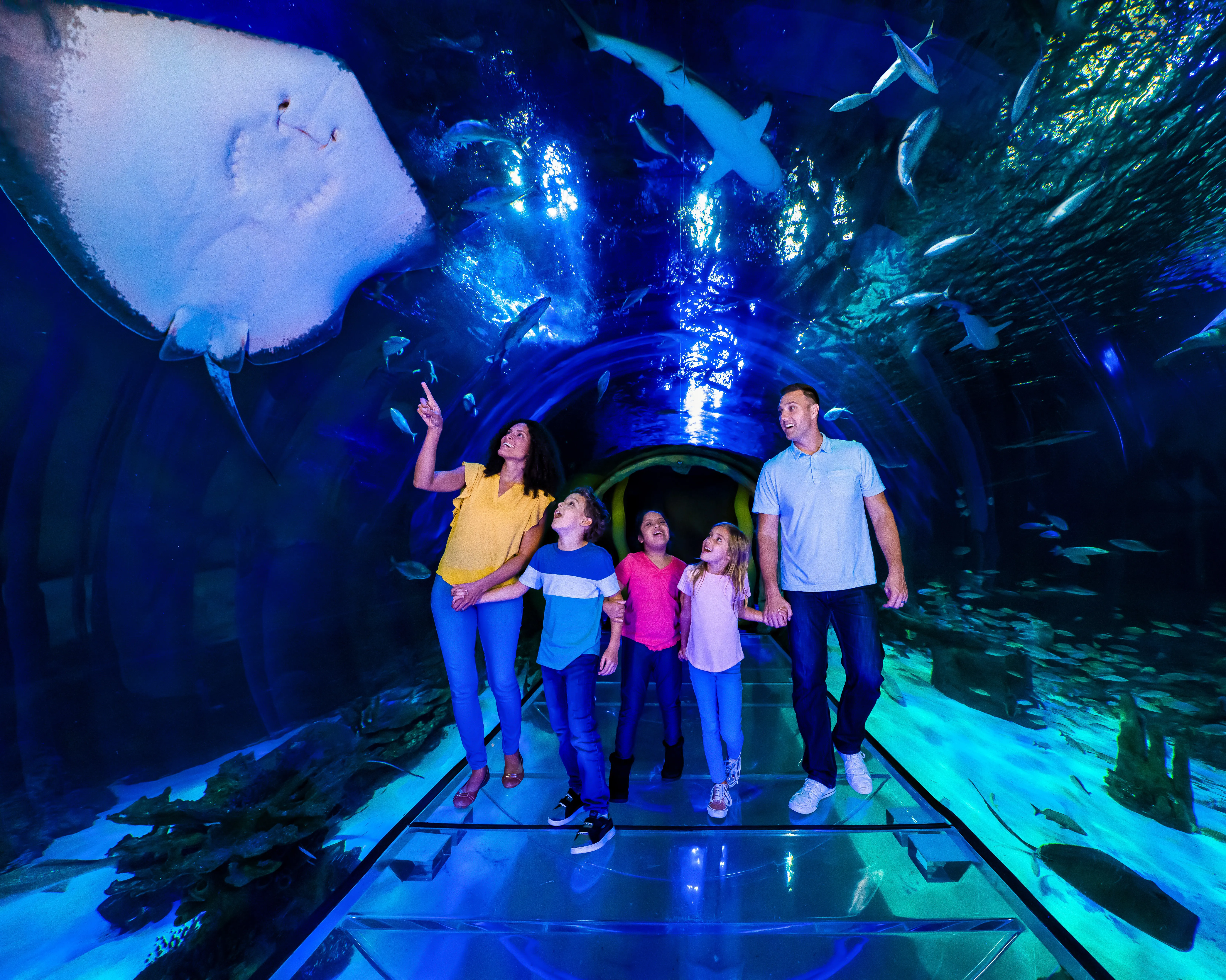 Florida Residents Tickets: Limited Time Offer | SEA LIFE Orlando Aquarium