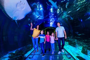 Florida Residents Tickets: Limited Time Offer | SEA LIFE Orlando Aquarium