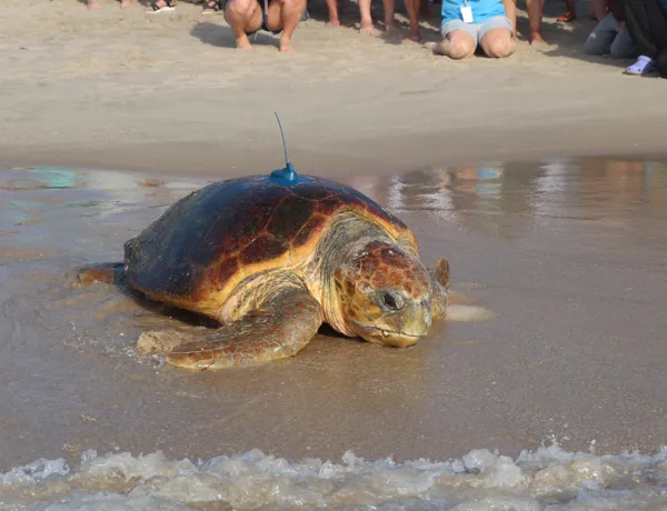 Photo Jul 30 2023, 8 46 01 AM