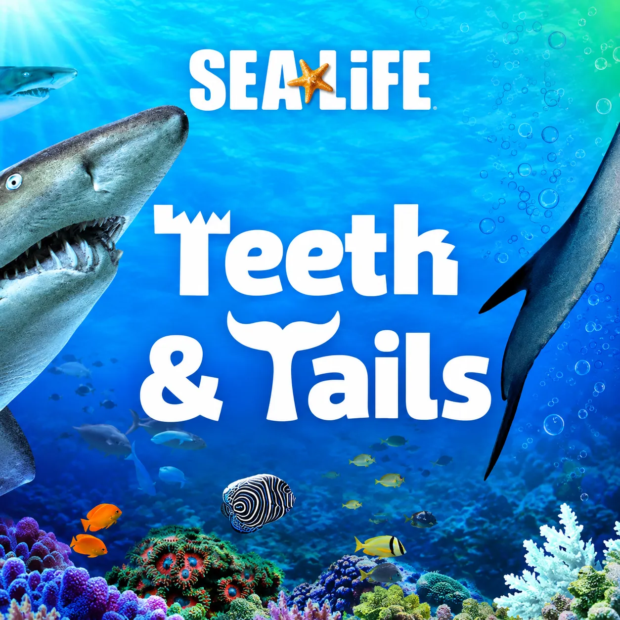Image of Teeth and Tails homeschool month at SEA LIFE Orlando at ICON Park in Orlando Florida
