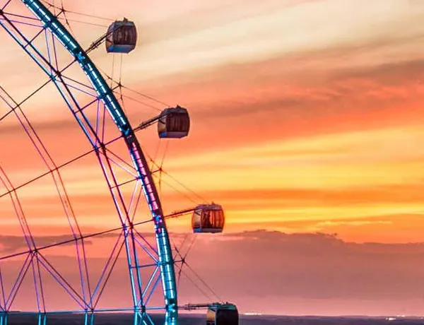 The WHEEL at ICON Park | SEA LIFE Orlando Aquarium