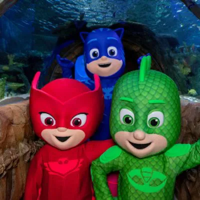 PJ Masks 600X300