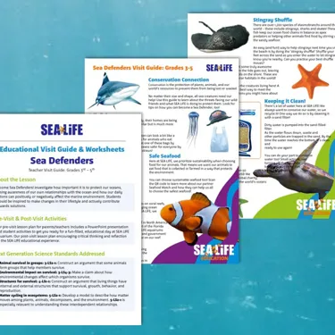 Sea Defenders Visit Guide Image For Webtile