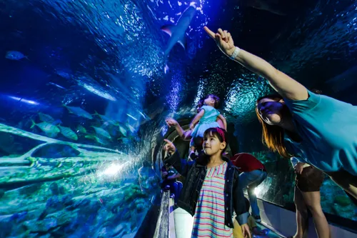 SEA LIFE Family