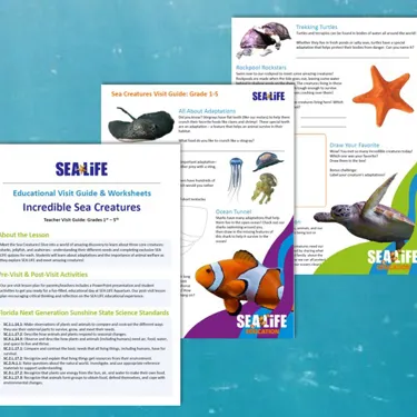 Sea Creatures Image For Webtile
