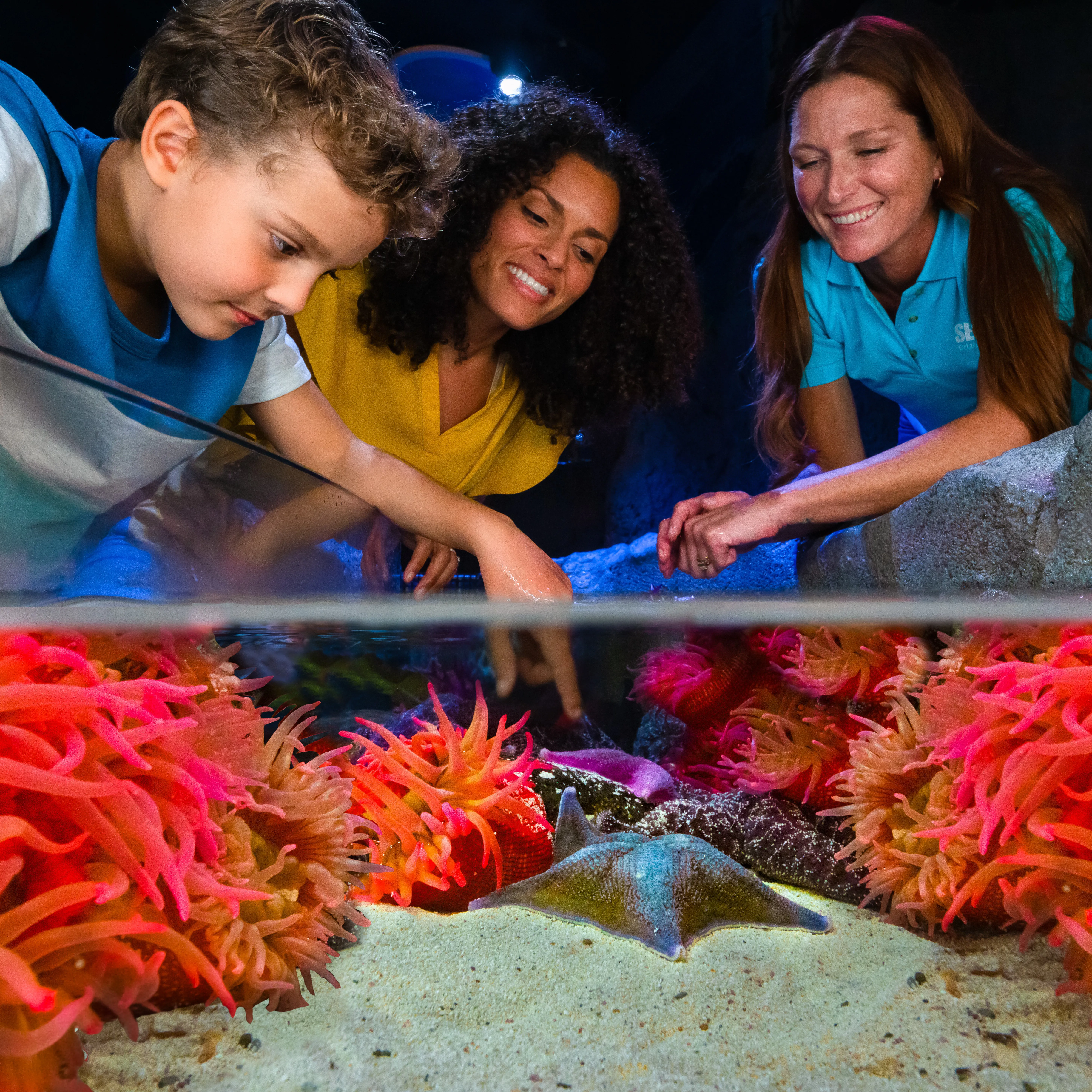 SLA ORLANDO 14 (2) (1)