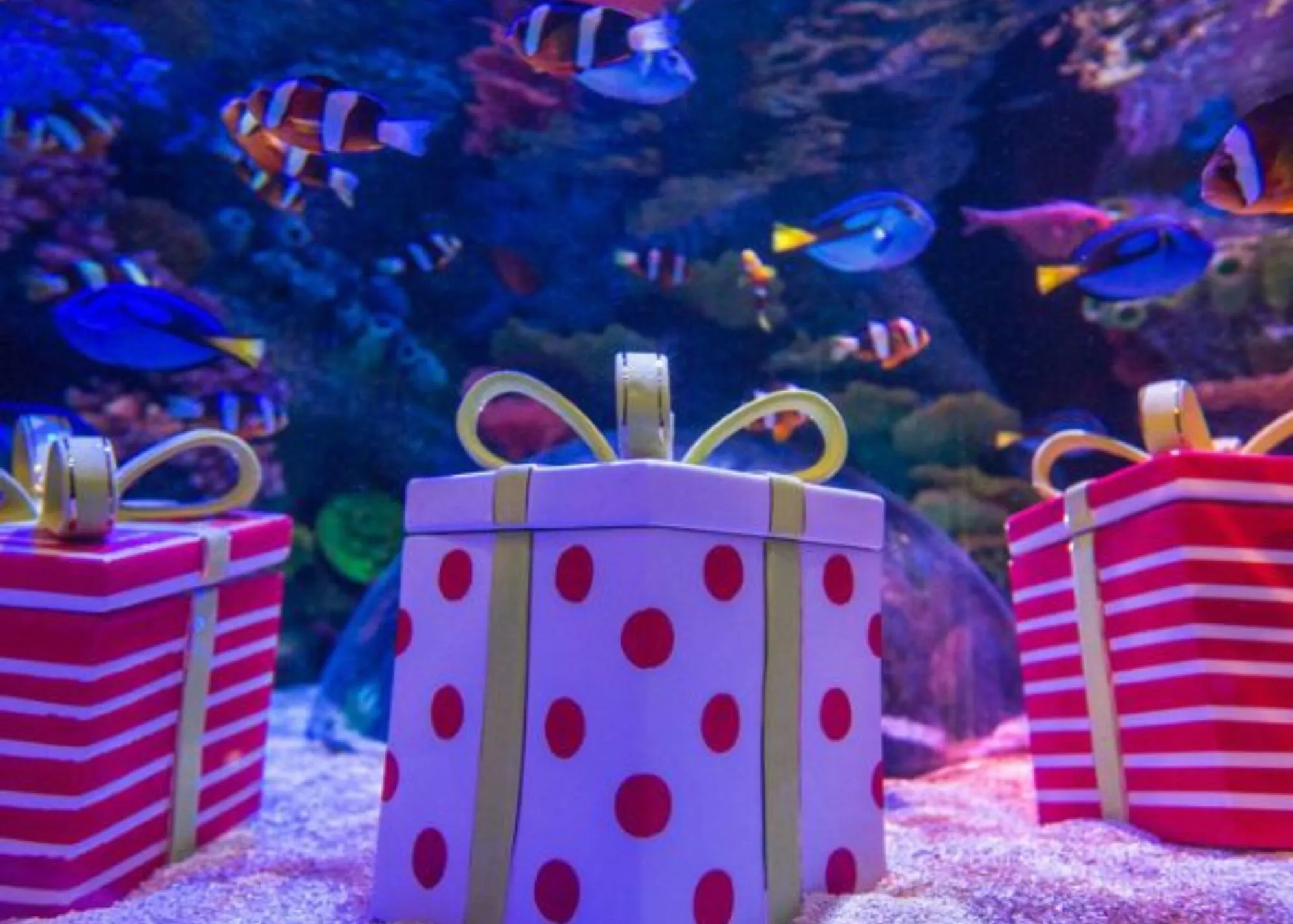 Web Modules 7X5 (7 X 5 In)