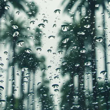 Rainy Day | SEA LIFE Orlando Aquarium