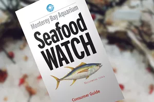 Seafood Watch | SEA LIFE Aquarium