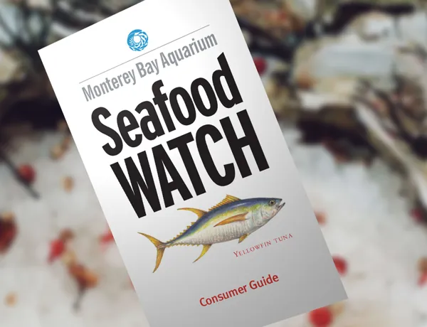 Seafood Watch | SEA LIFE Aquarium